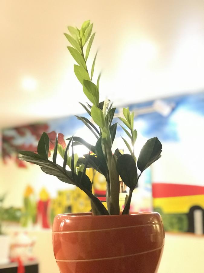The Lily Hostel & Coffee Хошимин Экстерьер фото